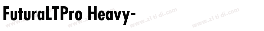 FuturaLTPro Heavy字体转换